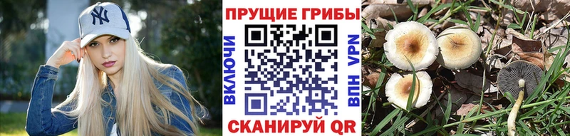 hydra ссылки  Новомичуринск  Галлюциногенные грибы ЛСД 